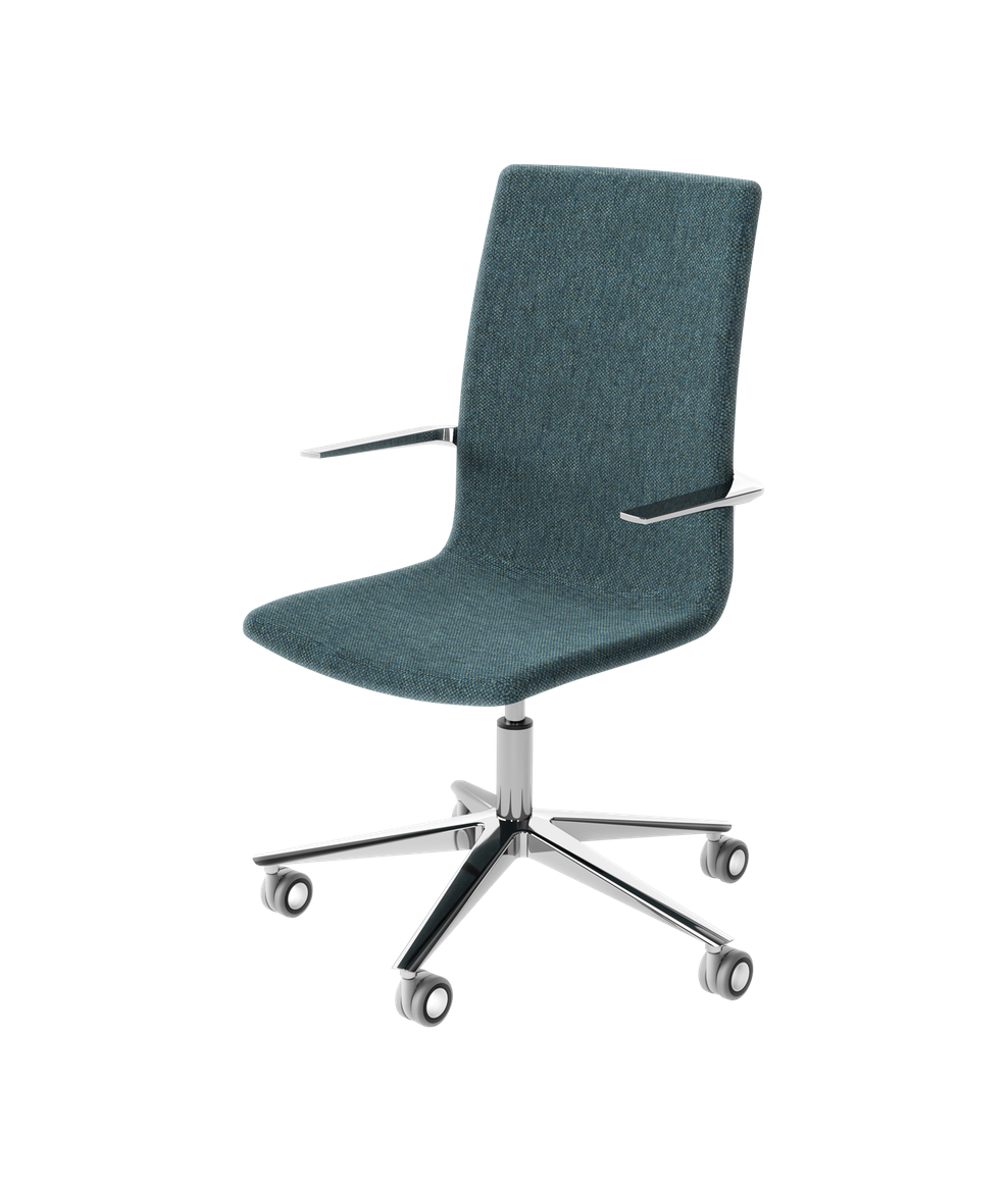 Kona Meeting Chair