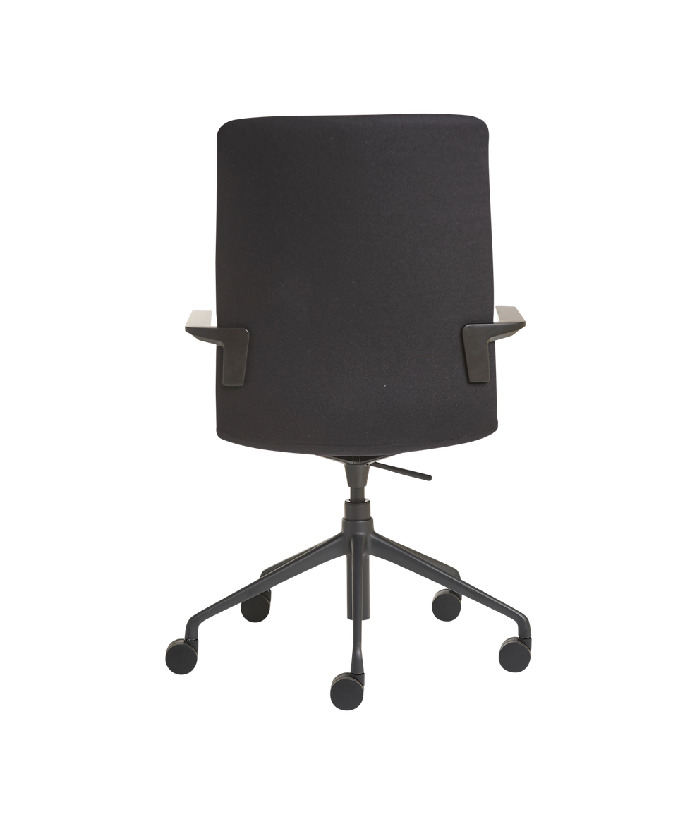 Kona Meeting Chair