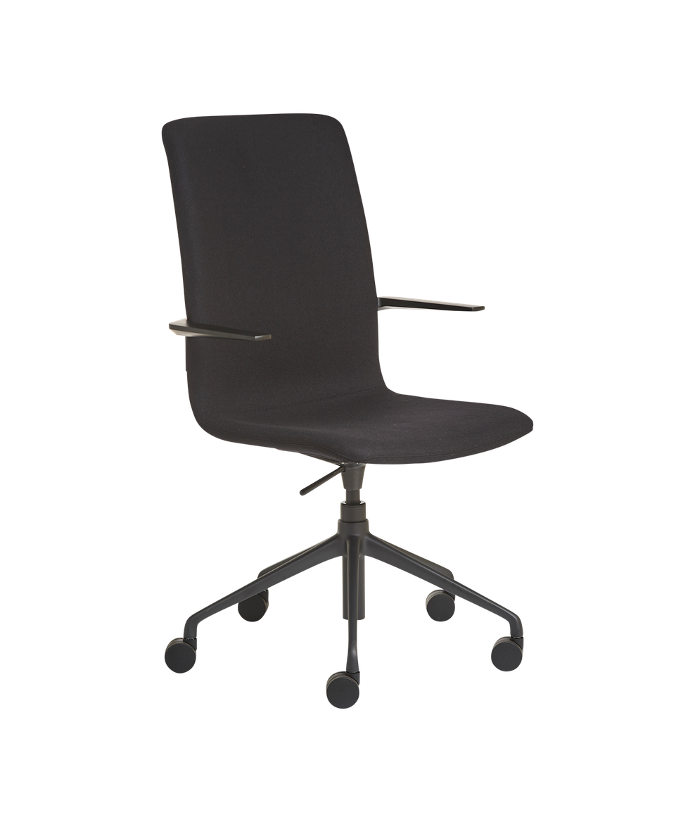 Kona Meeting Chair