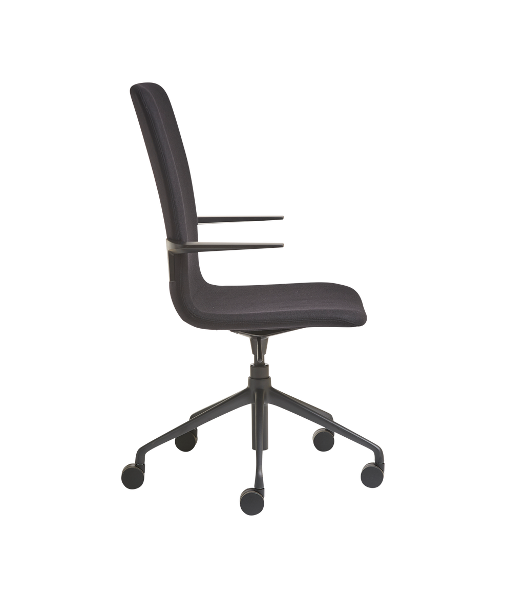 Kona Meeting Chair